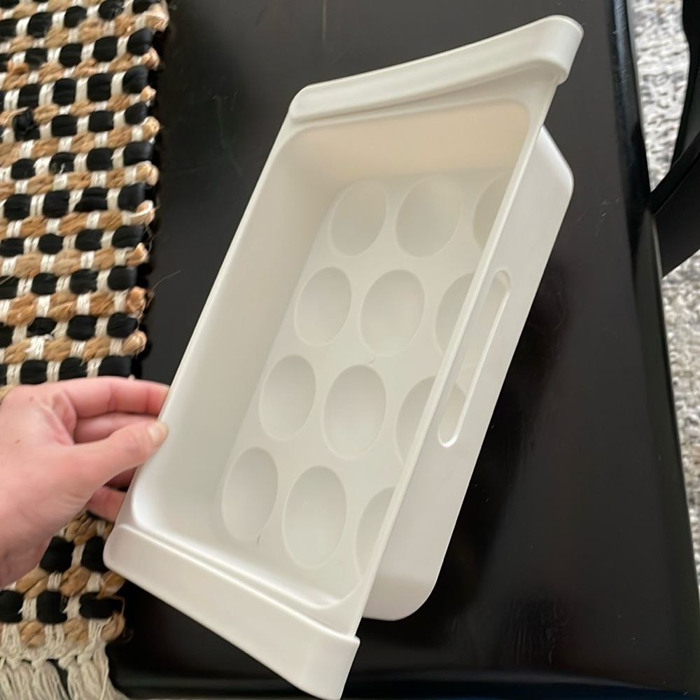 Dozen Egg Organizer